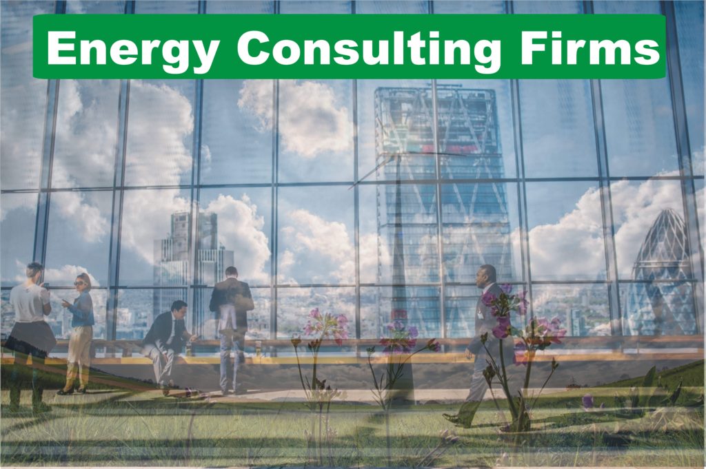 Best Energy Consulting Firms Surrey – Sustainability Consultants