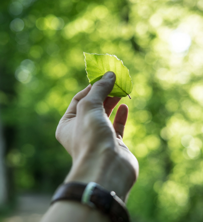 Sustainability Consulting Sustain Quality Sustainability Consulting Sustain Quality